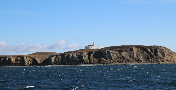 Boottocht wereldreis Isla de Magdalena