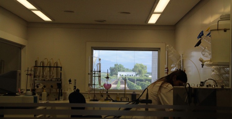 Mendoza-wijnlab-bodega-Pulenta-met-uitzicht-