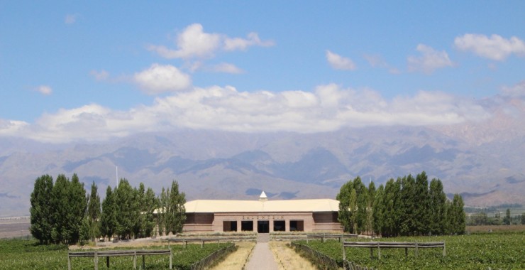 Wijnhuis Salentijn Mendoza-Machweg-geniet