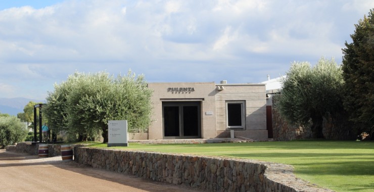 Wijntour Bodega Pulenta Mendoza
