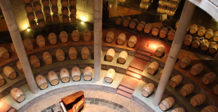 Wijntour Salentijn Mendoza