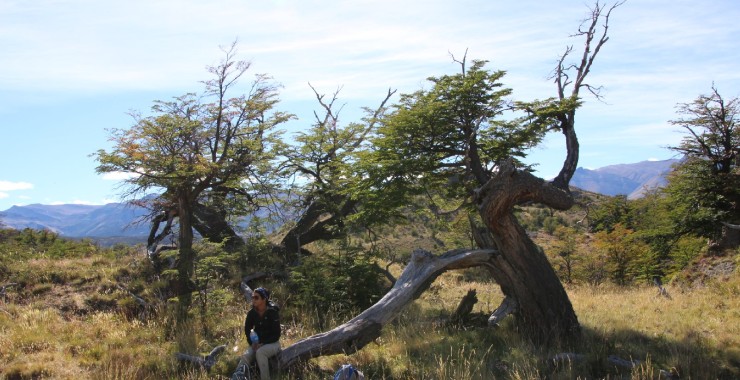 Wandelpauze in El Chalten