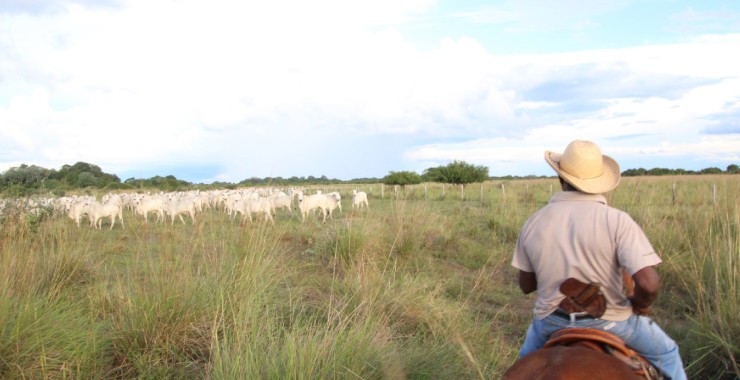 Gaucho's n de Pantanal