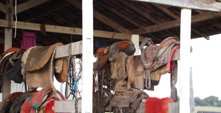 Zadels voor de paarden in de Pantanal