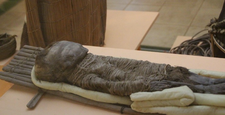Pre inca mummies in Arica