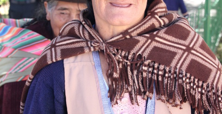 Vrouw markt Bolivia