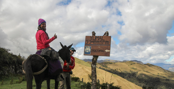 High Altitude met ezel