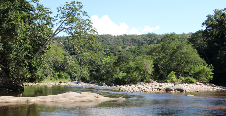Zwemmen in rivier Tarapoto