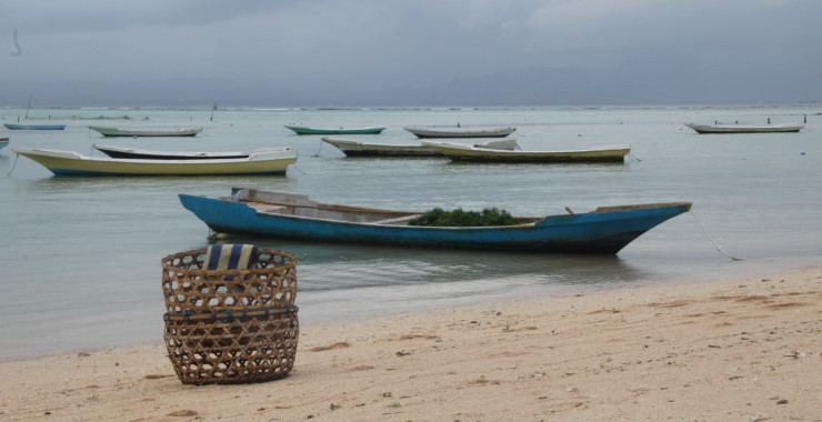 Zeewier velden vloed