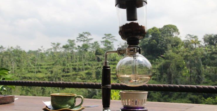 Kopi Luwak The Bucketlist
