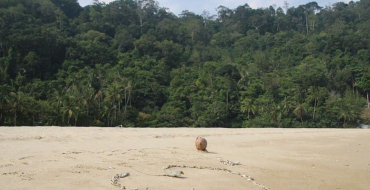 Honeymoon boodschap P&L