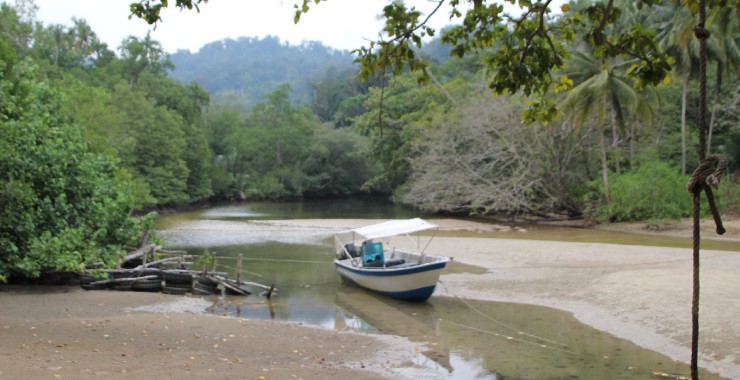 Uitzicht kamer met aapjes