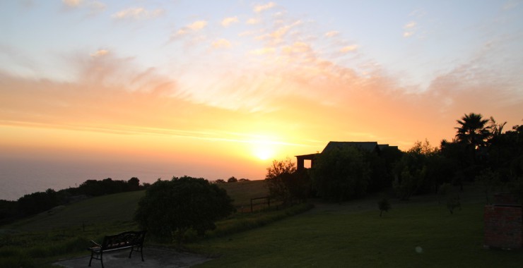 Dolphin View - Storms River