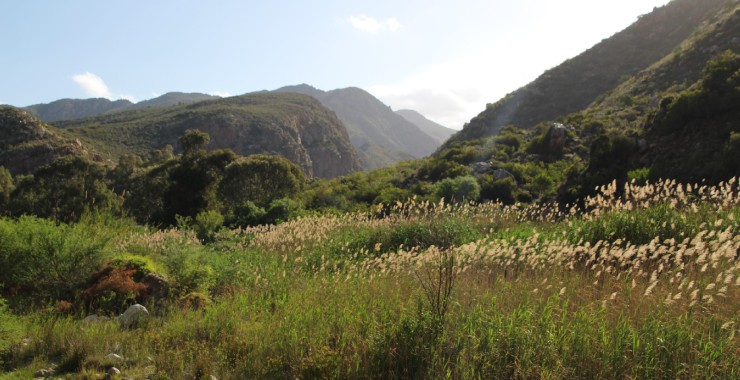 Montagu hiking