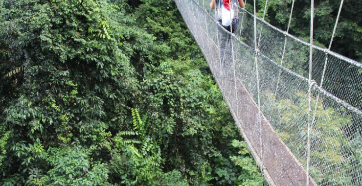 Touwbrug Borneo 2