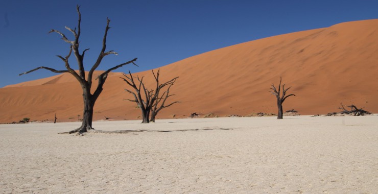 Sossusvlei - Dead Vlei