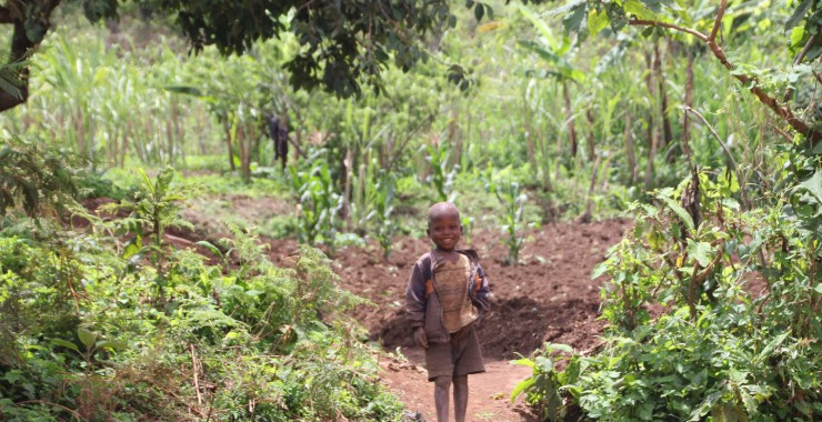 Jambo Jambo kindje onderweg