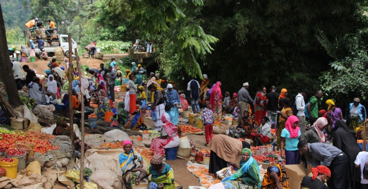 Markt in Tanzania onder boom