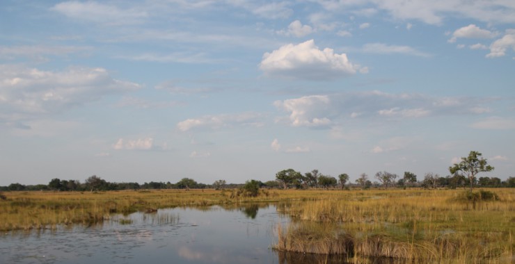 Okavangodelta - Botswana - Uitzicht