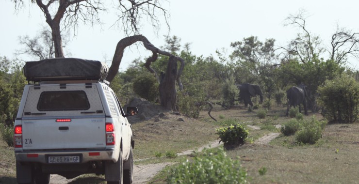 Savuti - Botswana - Olifanten