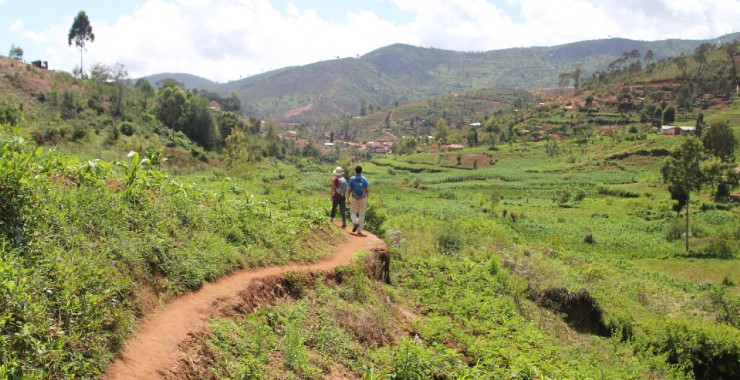 Wandelen in Usambara Mountains