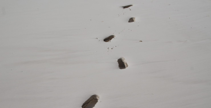 Voetafdrukken in zacht wit zand
